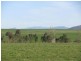 Lot 1 Tooma Road, Bringenbrong NSW 3707