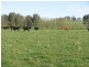 Lot 1 Tooma Road, Bringenbrong NSW 3707