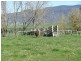 Lot 1 Tooma Road, Bringenbrong NSW 3707