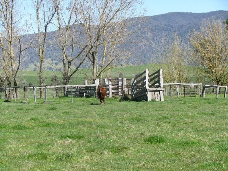 Lot 1 Tooma Road, Bringenbrong NSW 3707
