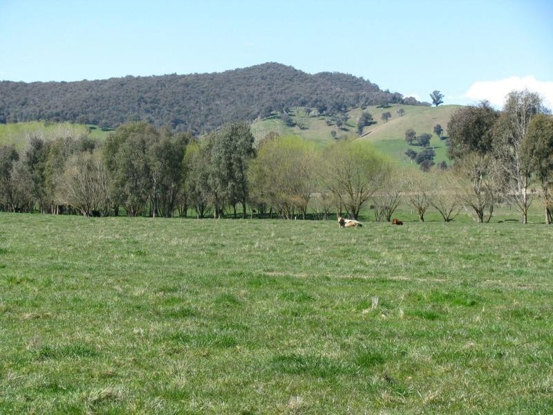 Lot 1 Tooma Road, Bringenbrong NSW 3707