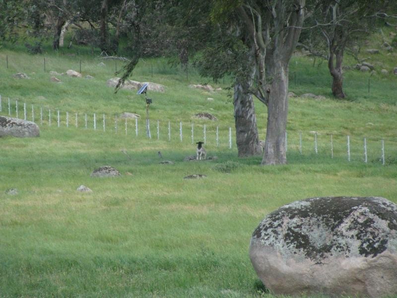 2289 Cudgewa Valley Road, Tintaldra VIC 3708