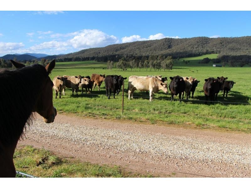 174 Rifle Range Road, Lucyvale VIC 3691