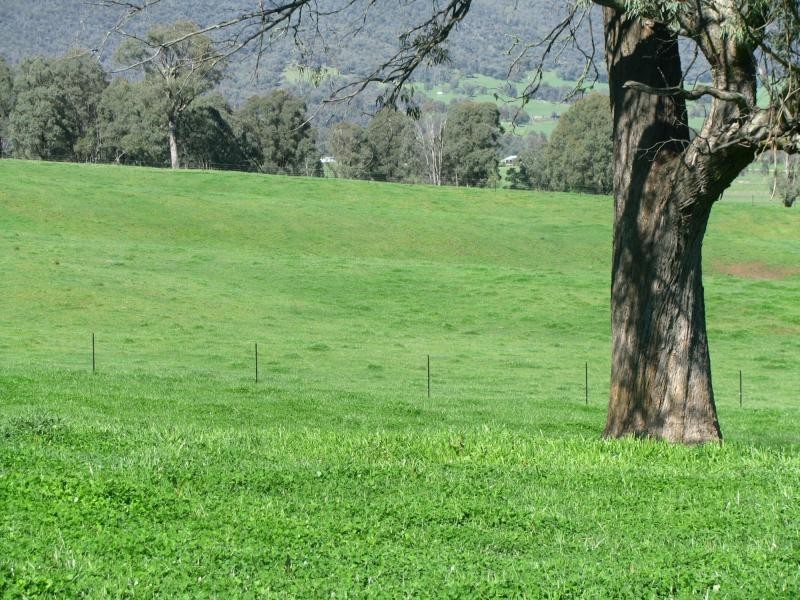 174 Rifle Range Road, Lucyvale VIC 3691