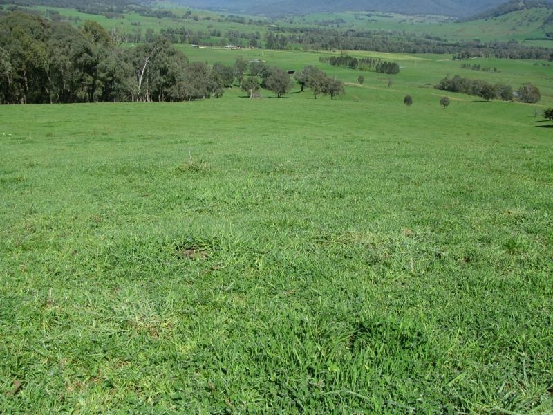 174 Rifle Range Road, Lucyvale VIC 3691