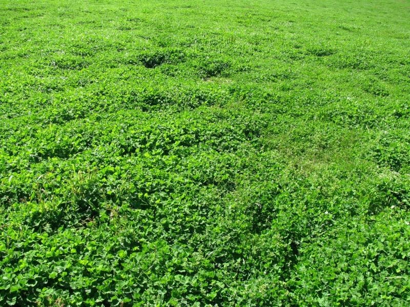 174 Rifle Range Road, Lucyvale VIC 3691