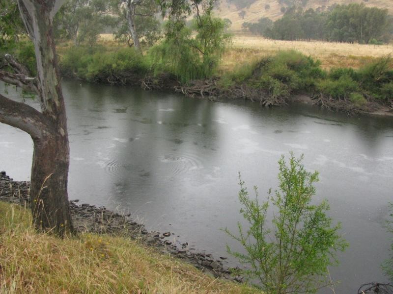 Jingellic NSW 2642