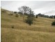 Jingellic NSW 2642