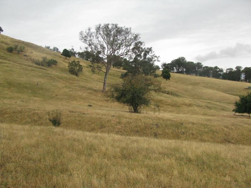 Jingellic NSW 2642