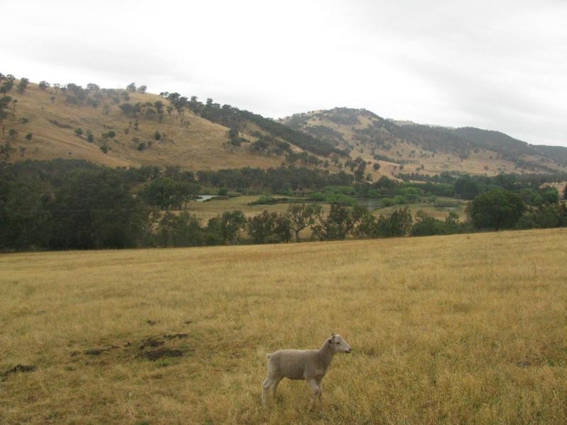 Jingellic NSW 2642