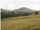 Jingellic NSW 2642