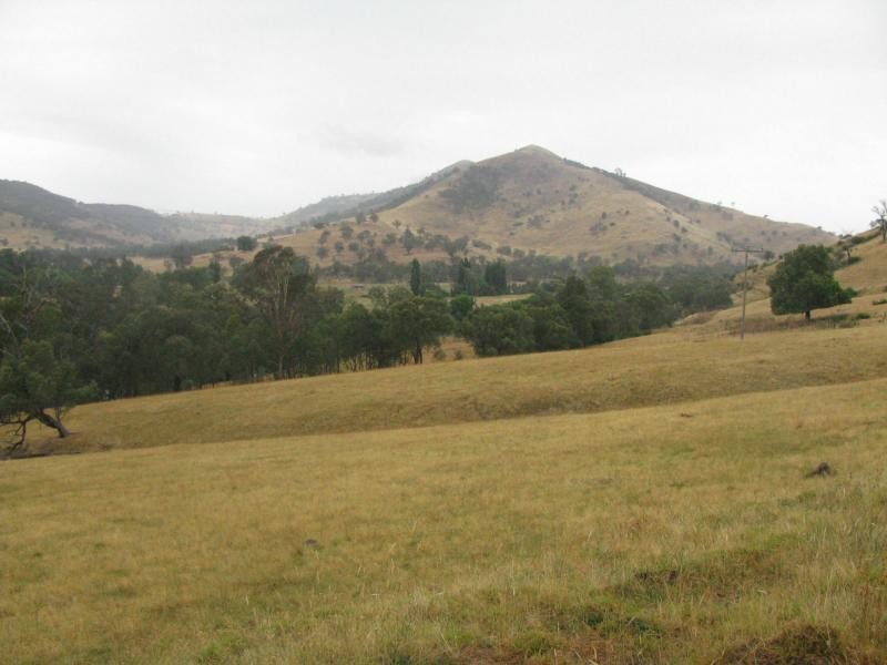 Jingellic NSW 2642
