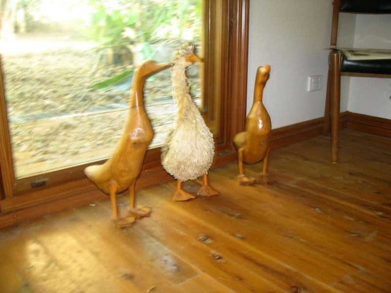 9940 Murray Valley Highway, Pine Mountain VIC 3709