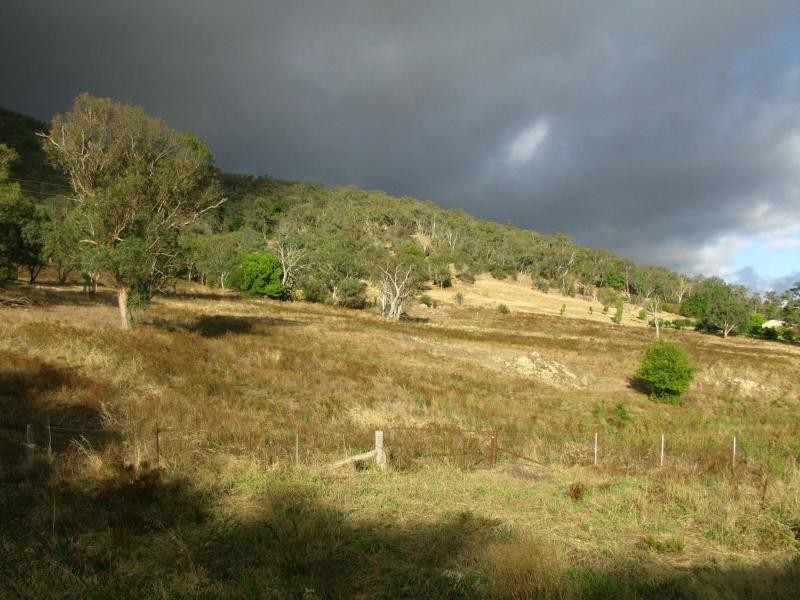 Pine Mountain VIC 3709