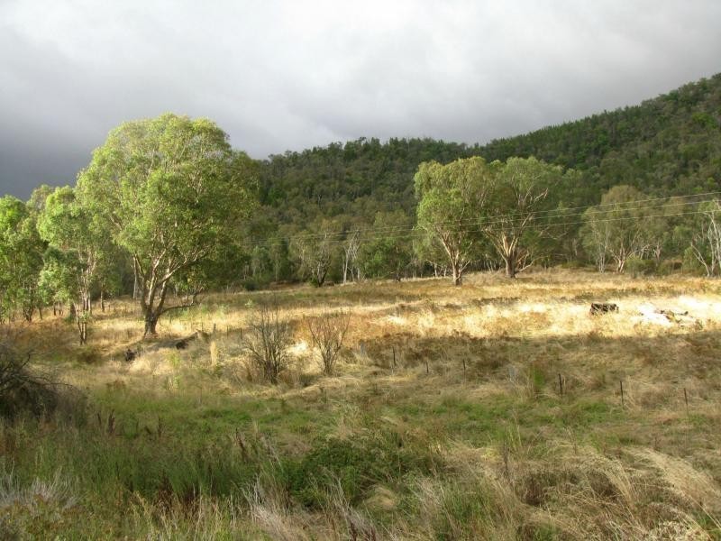 Pine Mountain VIC 3709