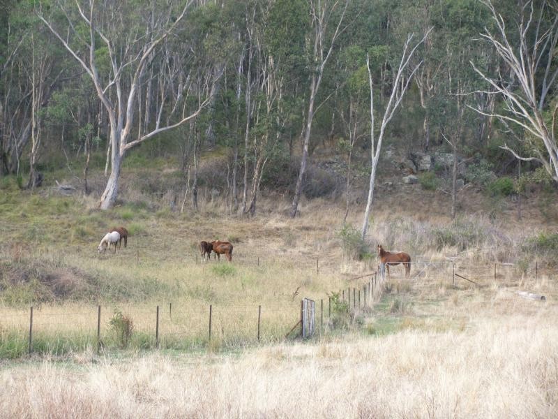 Pine Mountain VIC 3709