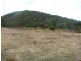 Pine Mountain VIC 3709