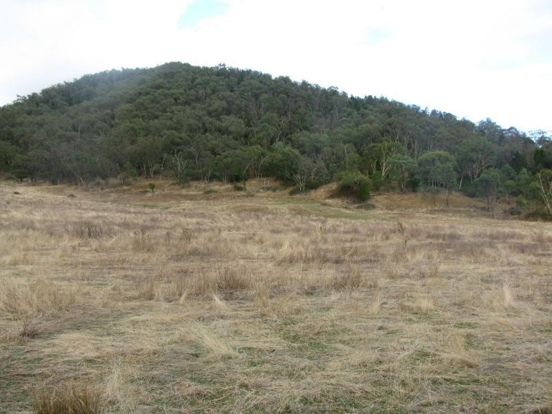 Pine Mountain VIC 3709