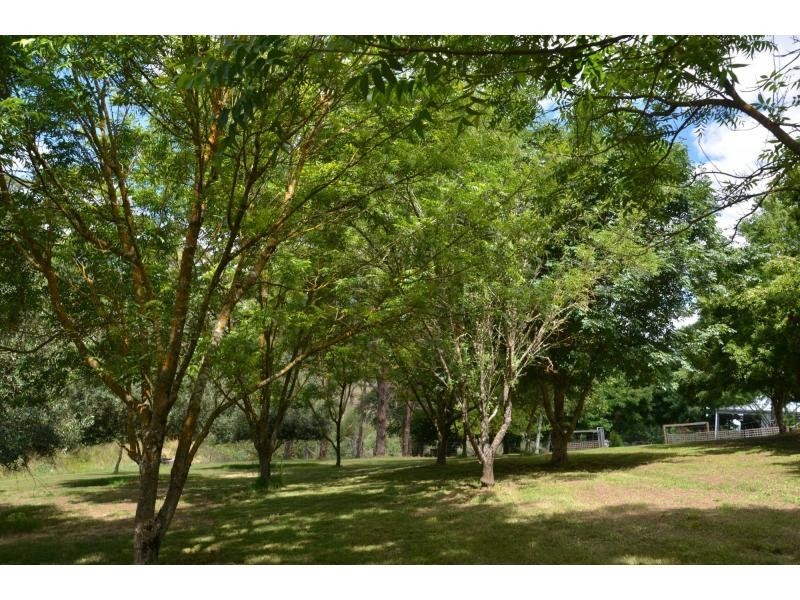 28 Lochiel Road, Lankeys Creek NSW 2644