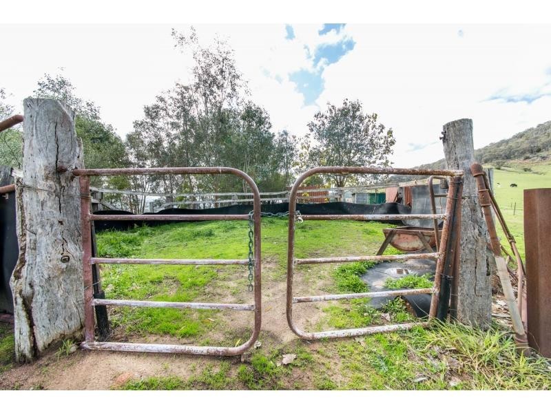 12755 Murray River Road, Towong VIC 3707