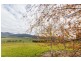 12755 Murray River Road, Towong VIC 3707
