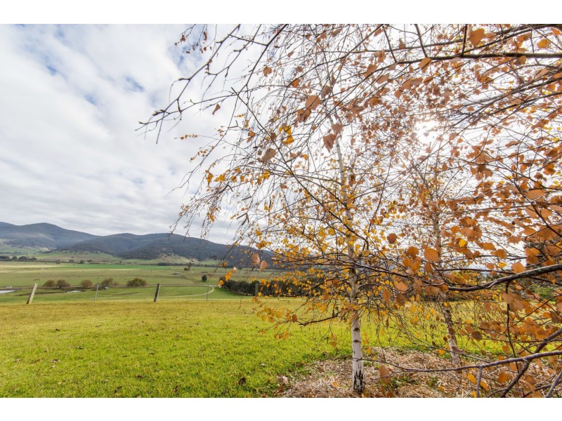 12755 Murray River Road, Towong VIC 3707