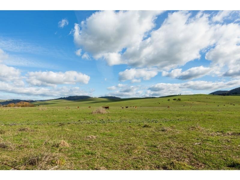 347 Mt Garland Road, Tooma NSW 2642