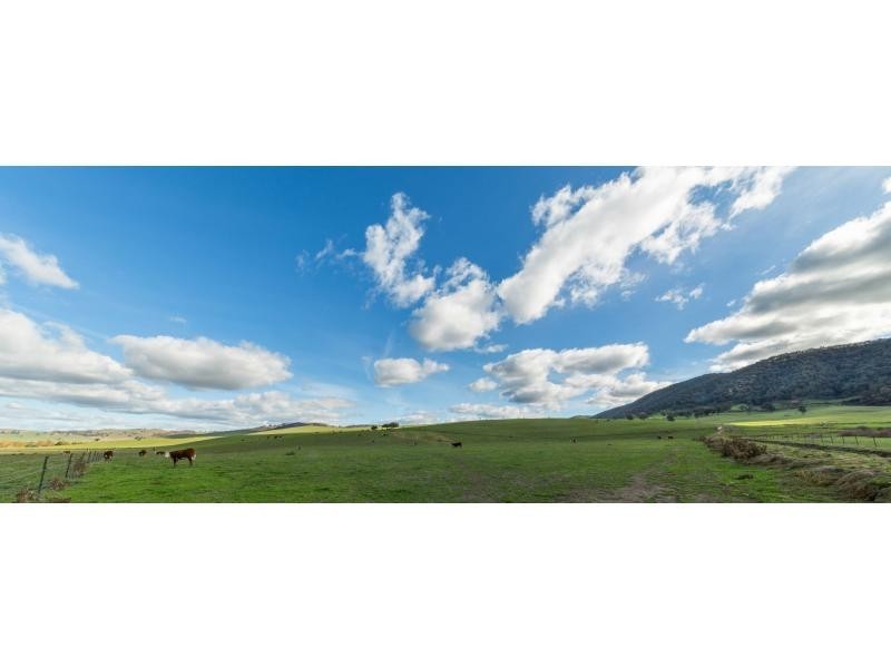 347 Mt Garland Road, Tooma NSW 2642
