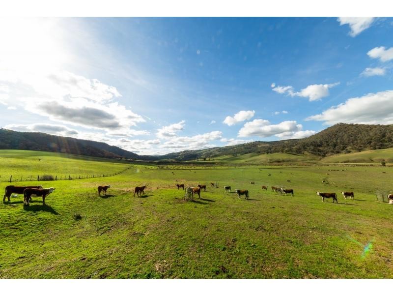 347 Mt Garland Road, Tooma NSW 2642