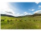 347 Mt Garland Road, Tooma NSW 2642
