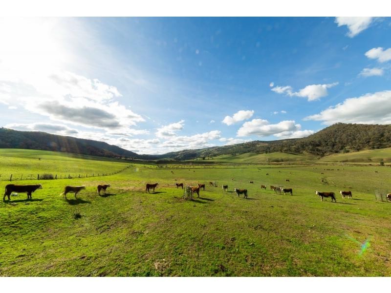 347 Mt Garland Road, Tooma NSW 2642