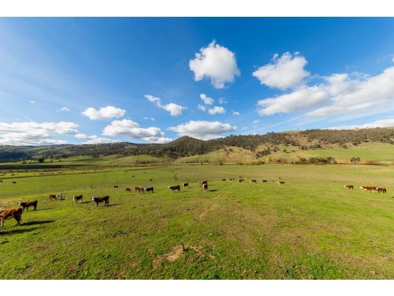 347 Mt Garland Road, Tooma NSW 2642