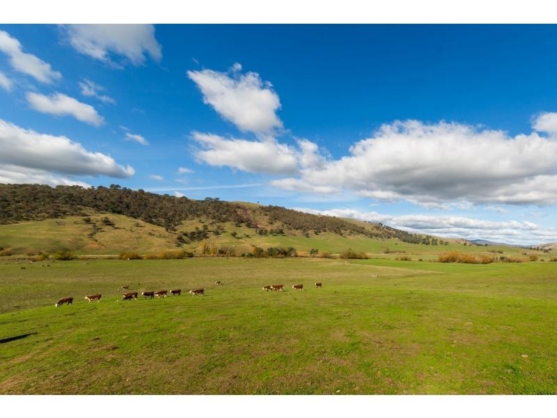 347 Mt Garland Road, Tooma NSW 2642