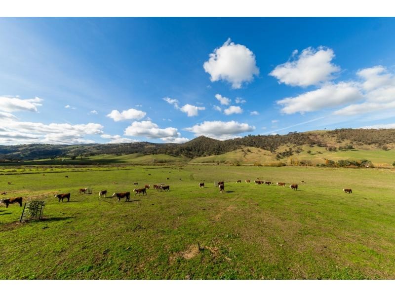 347 Mt Garland Road, Tooma NSW 2642