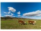 347 Mt Garland Road, Tooma NSW 2642