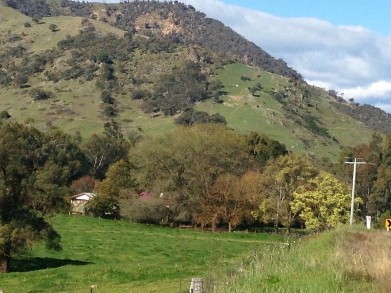 9775 Murray River Road, Walwa VIC 3709