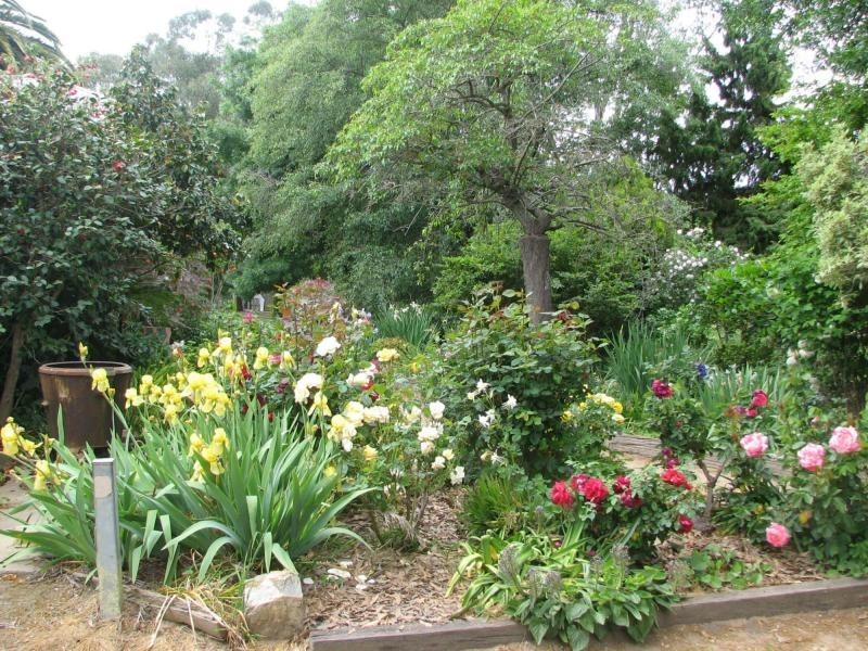 9775 Murray River Road, Walwa VIC 3709