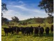 2412 Murray Valley Highway, Cudgewa VIC 3705