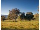 2/2412 Murray Valley Hwy, Cudgewa VIC 3705