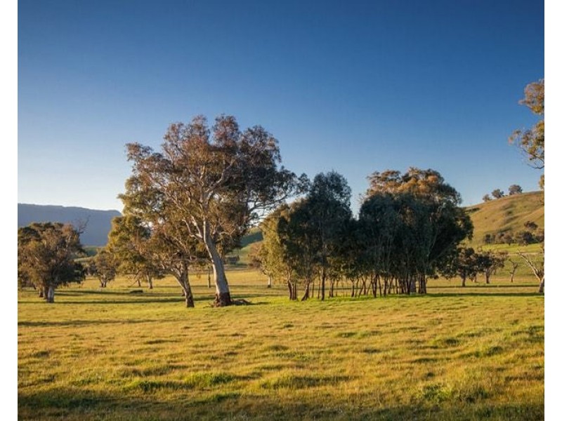 5/2412 Murray Valley Hwy, Cudgewa VIC 3705