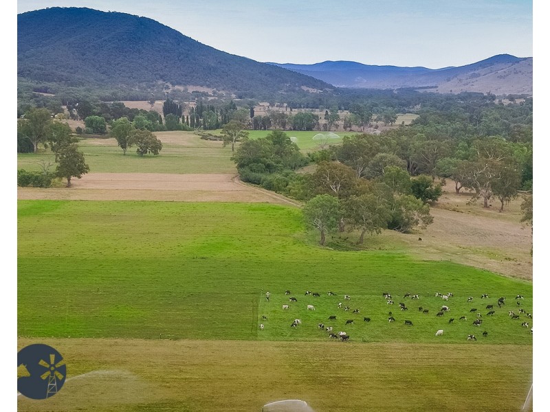 10087 Murray River Rd, Pine Mountain VIC 3709