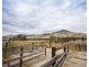 10087 Murray River Rd, Pine Mountain VIC 3709