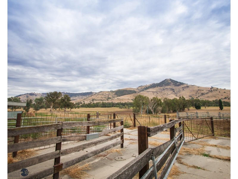 10087 Murray River Rd, Pine Mountain VIC 3709