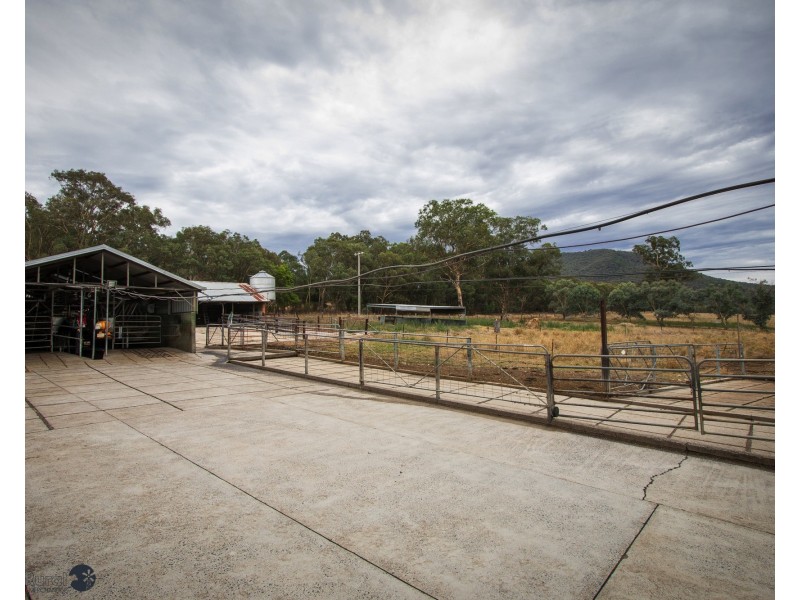10087 Murray River Rd, Pine Mountain VIC 3709