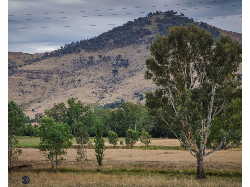 10087 Murray River Rd, Pine Mountain VIC 3709