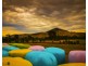 10087 Murray River Rd, Pine Mountain VIC 3709