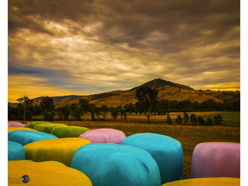 10087 Murray River Rd, Pine Mountain VIC 3709