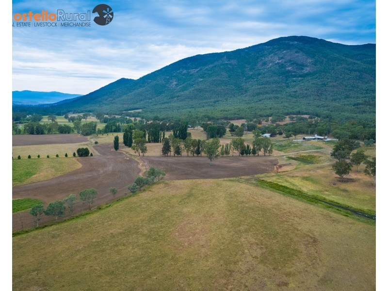 10087 Murray River Rd, Pine Mountain VIC 3709