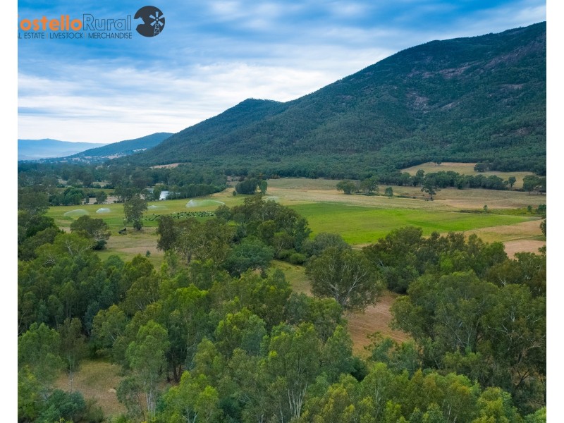 10087 Murray River Rd, Pine Mountain VIC 3709
