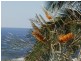 104 Cooloola Drive, Rainbow Beach QLD 4581